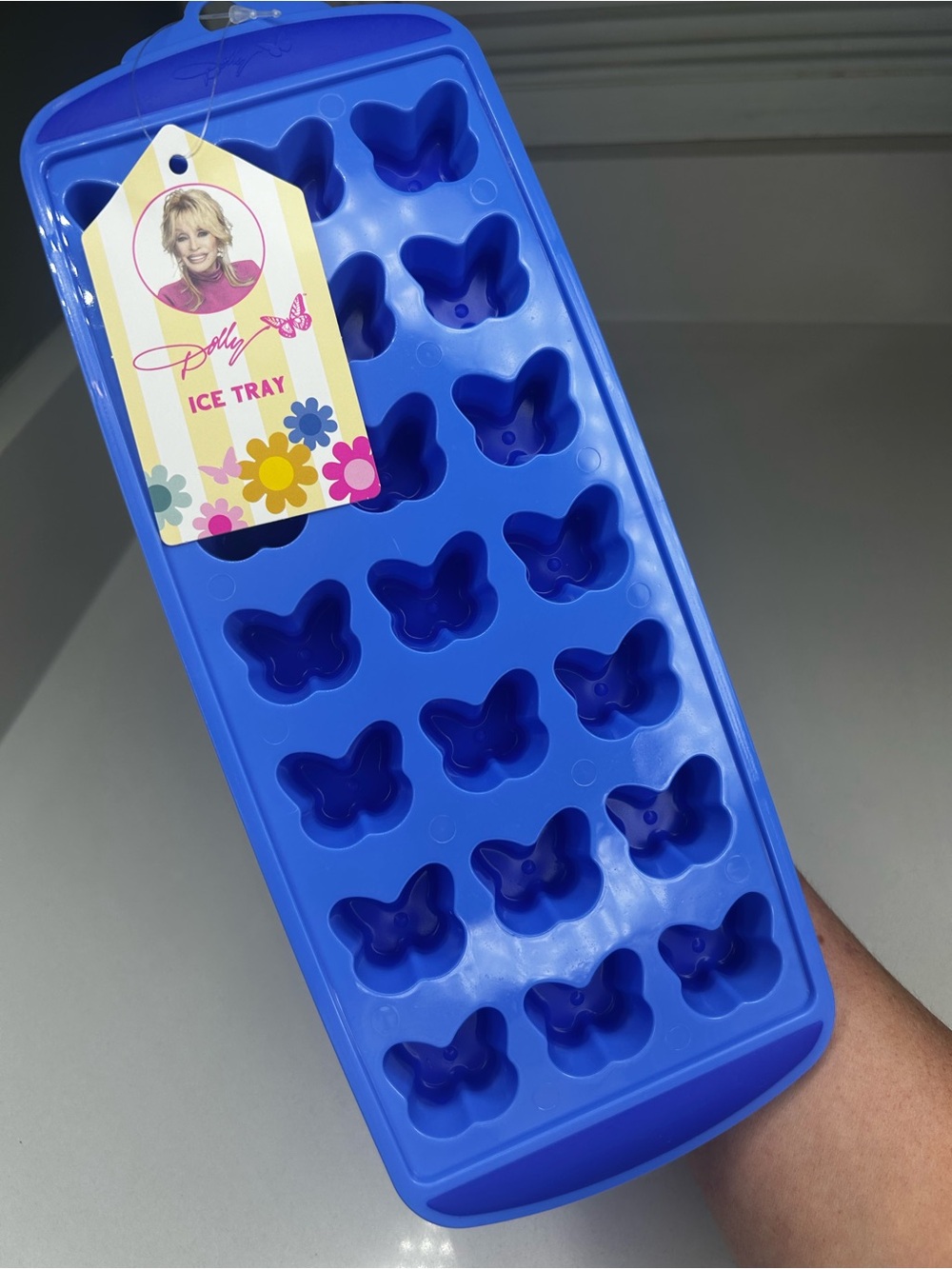 NWT Dolly Parton Blue Butterfly Silicone Mold Tray